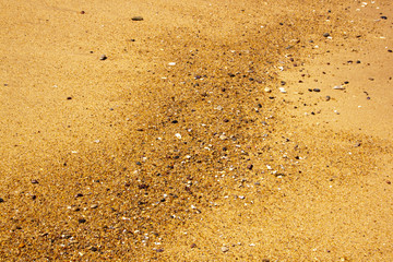 Close Up Of Waterline Featuring Shells And Pebbles