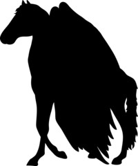 Pegasus