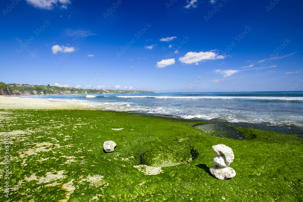 Wall mural white stones in a beach