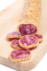 fuet, a spanish sausage, coated with onion