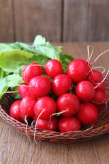bunch of a red garden radish with green leaves