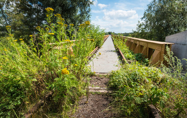 Overgrown historic railway bridge