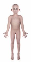 Fototapeta premium Boy anatomical pose isolated anterior