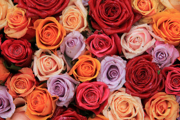 Obraz na płótnie Canvas Mixed bridal roses