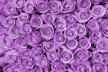 Purple wedding arrangement