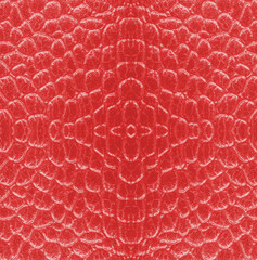  fragment of red snake skin