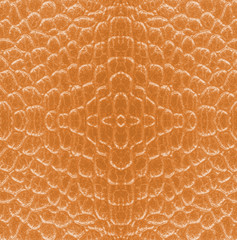 fragment of yellow snake skin