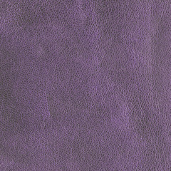 Fototapeta premium lilac leather texture