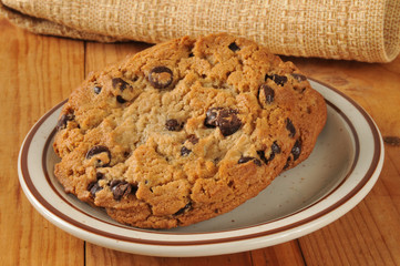 Chocolate chip cookies