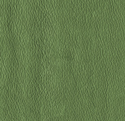 green leather texture closeup