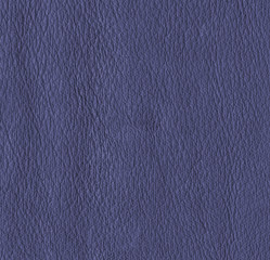 blue leather texture closeup