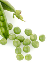 Fresh green pea pod