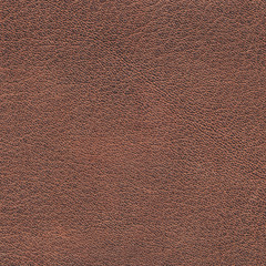 Fototapeta premium brown leather texture