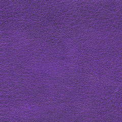 violet  leather texture