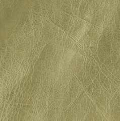 Obraz premium green leather texture