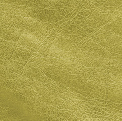 Obraz premium yellow-green leather texture