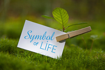 Symbol of Life