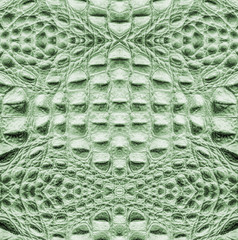 crocodile skin texture closeup