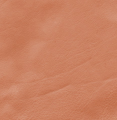 brown leather texture