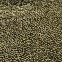  leather texture