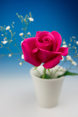 薔薇の花