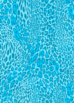 Blue leopard