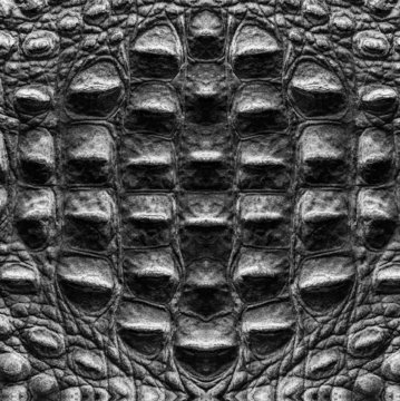 black crocodile skin texture closeup
