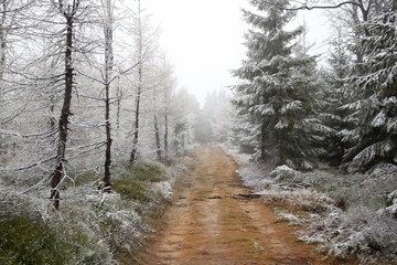 Two seasons - winter and autumn scene - 59675918