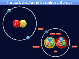 The quark structure of the neutron and proton