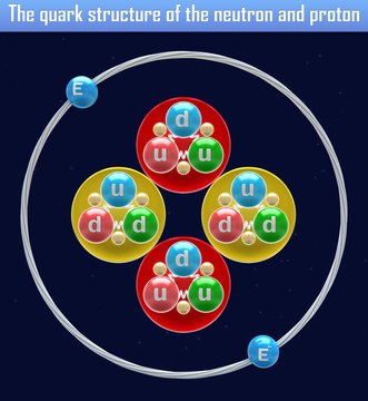 The Quark Structure Of The Neutron And Proton