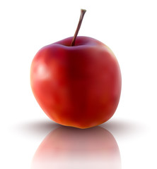 Obraz premium vector illustration of red apple