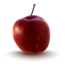 vector illustration of red apple