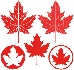 Maple leaf - obrazy, fototapety, plakaty