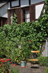 Garten an einem Fachwerkhaus