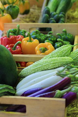 variety mix fruit and vegetable