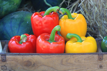 close up mix vivid paprika