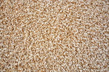 Carpet