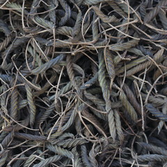close up dry Chinese herb
