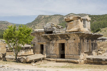 Naklejka premium Tomb in Northern Necropolis of Hierapoli, Denizli, Turkey