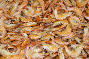 Fresh Shrimp for Sale at Brazilian Market