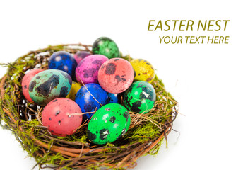 Easter eggs in the nest