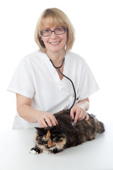 Veterinarian with cat