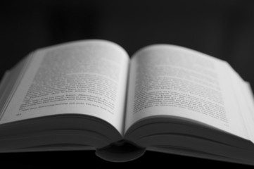 Obraz premium Offenes Buch