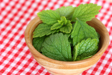 A bowl of freshly picked Lemon balm