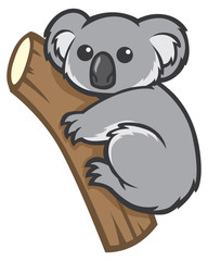 cute koala on a tree © bazzier