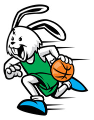 rabbit play basketball