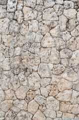 Obraz premium 石垣模様