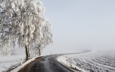winter Road going in to the fog