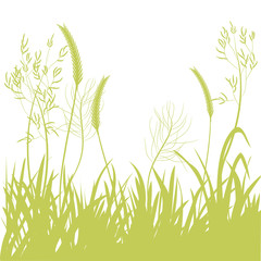 background silhouette of motley grass