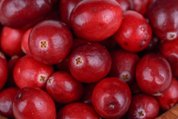 Fresh  cranberries